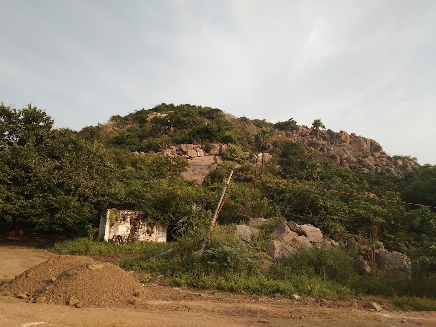 Manakondur - Photo 6