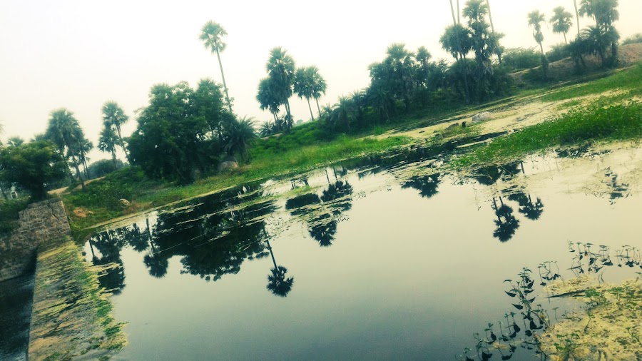 Manakondur - Photo 4