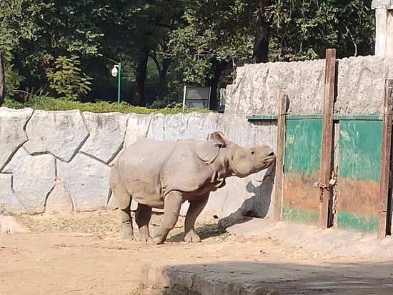 Kanpur Zoological Park - Photo 2