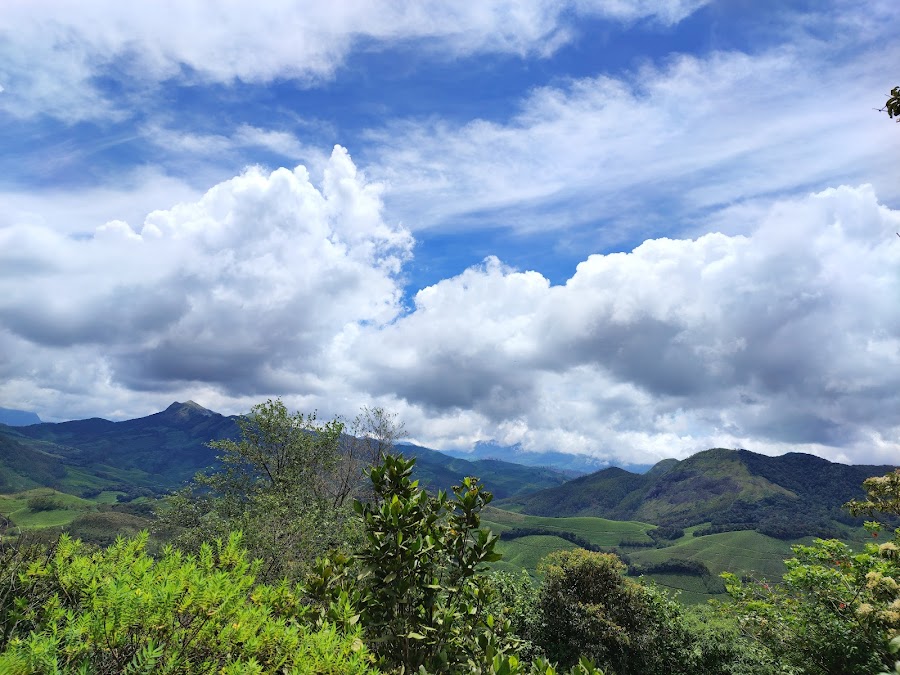 Eravikulam National Park - Photo 2