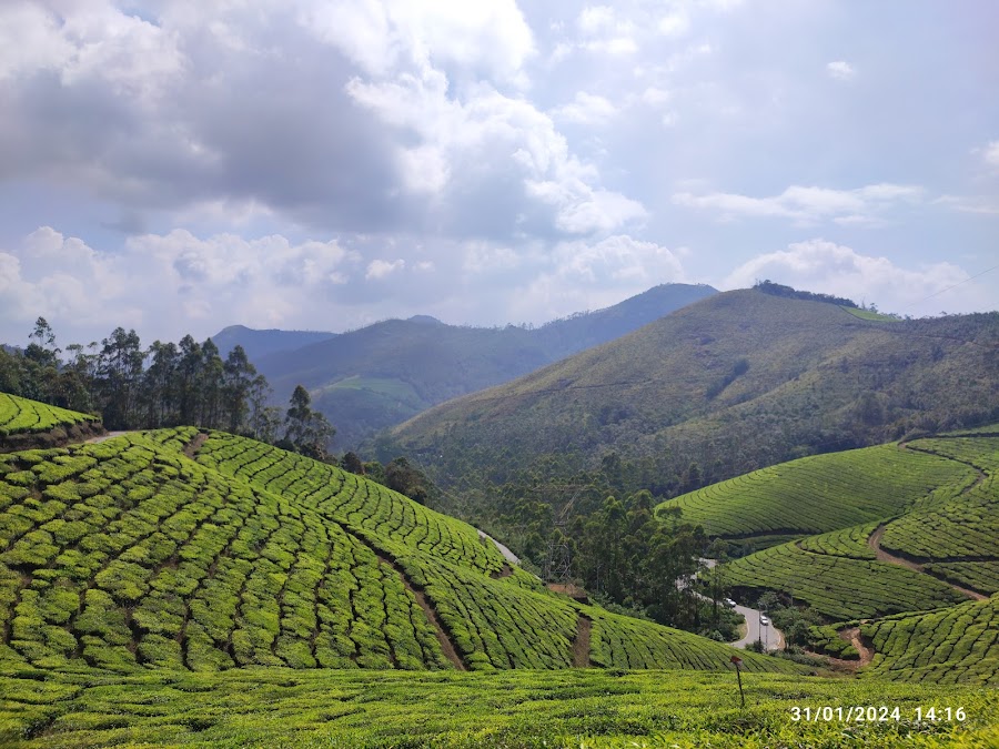 Eravikulam National Park - Photo 3