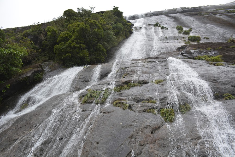 Eravikulam National Park - Photo 4