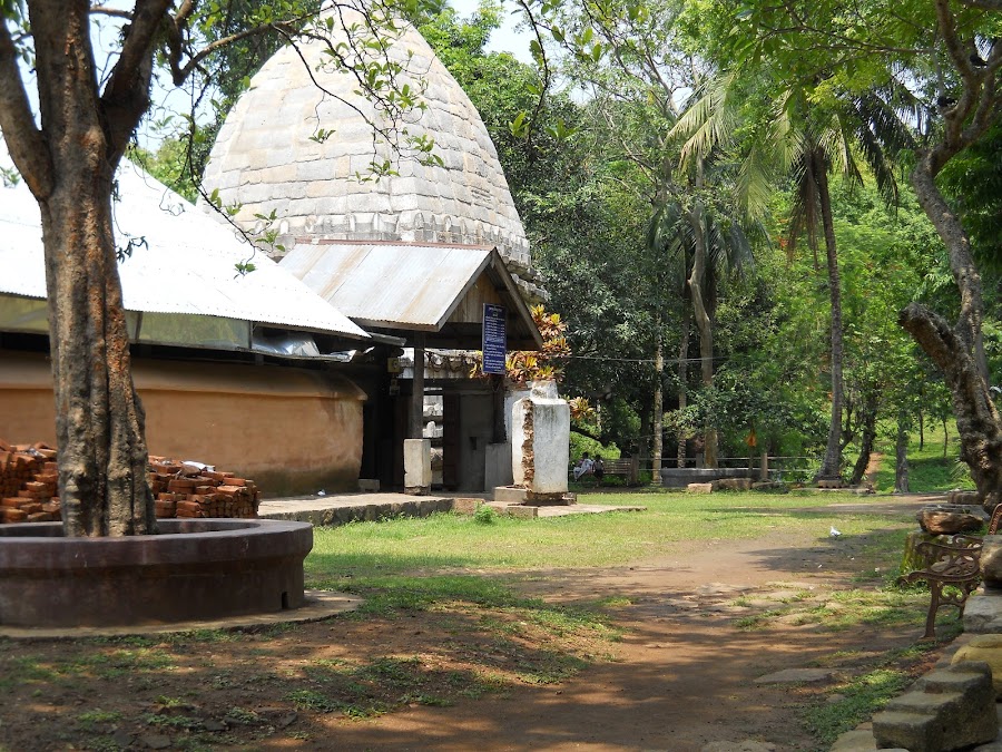 Hajo - Photo 2