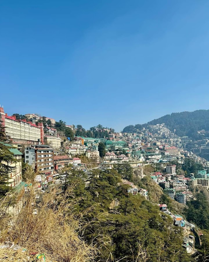 Shimla Town Hall - Photo 3