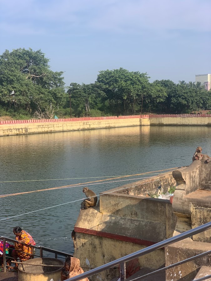 Lokanatha Temple - Photo 3