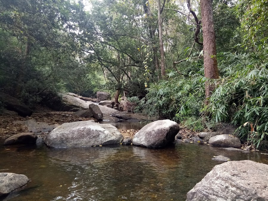 Kallar River - Photo 3