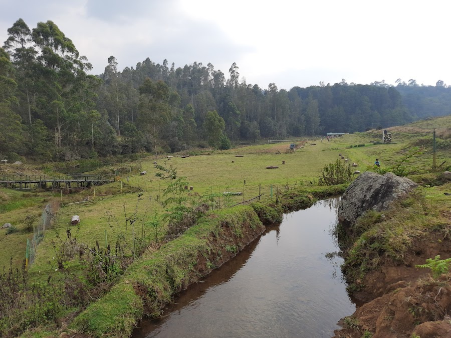 Mannavanur Lake - Photo 4