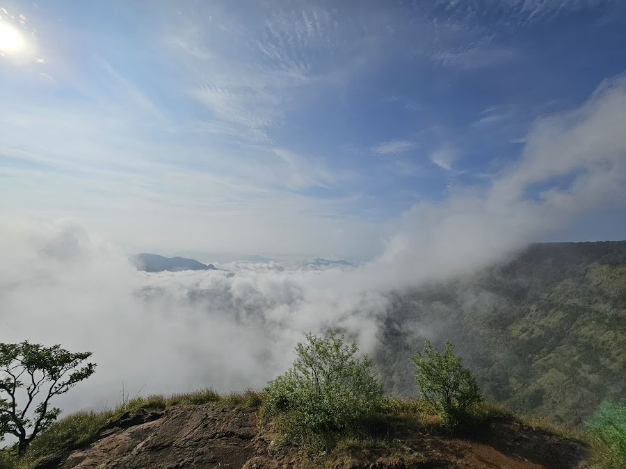 Alexander Point - Photo 2