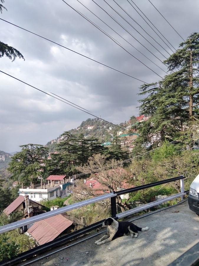 Lakkar Bazaar - Photo 4