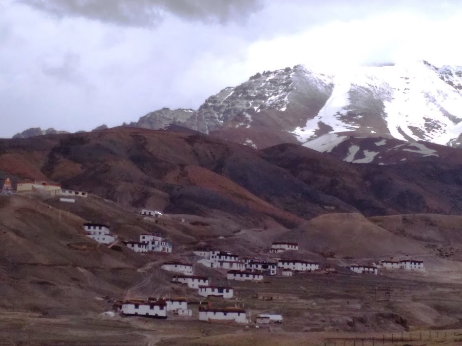Langza - Photo 3