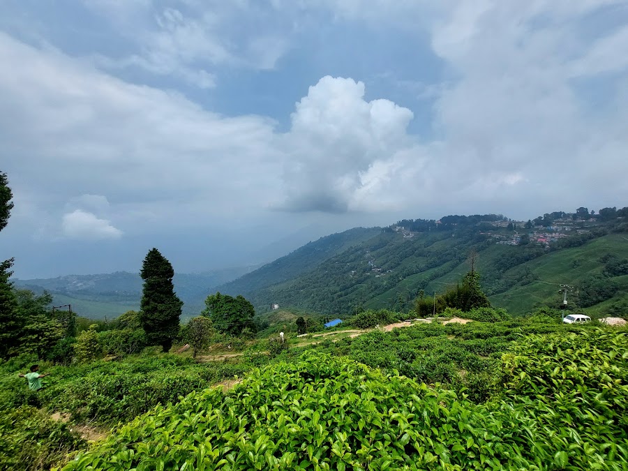 Happy Valley Tea Estate - Photo 2