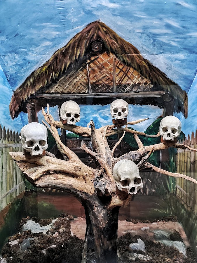 Nagaland State Museum - Photo 3