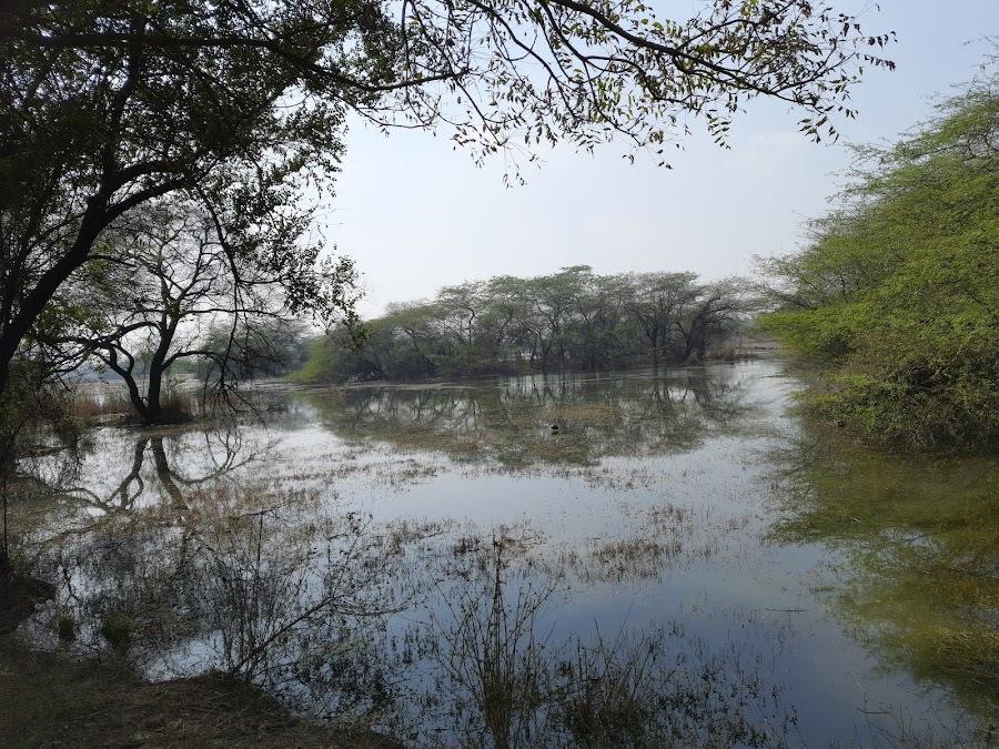 Sultanpur National Park - Photo 2