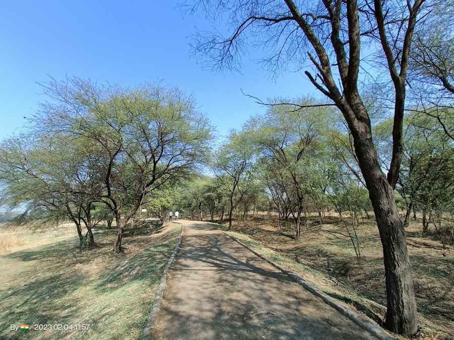 Sultanpur National Park - Photo 3