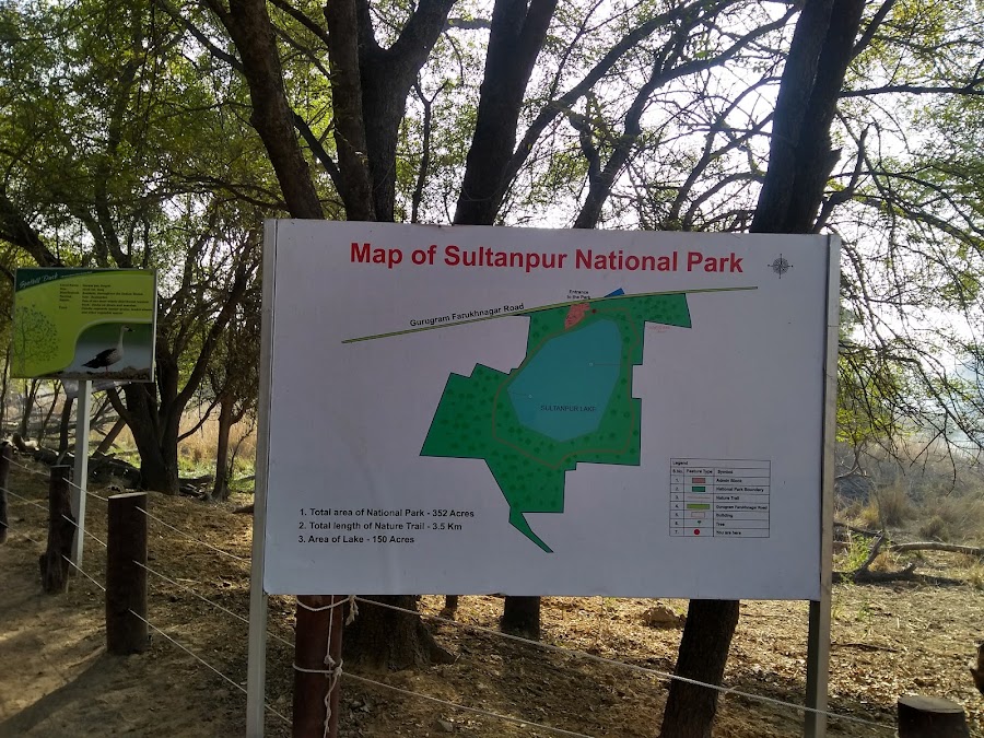 Sultanpur National Park - Photo 4