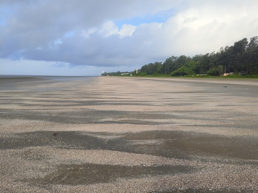 Chandipur Sea Beach - Photo 4