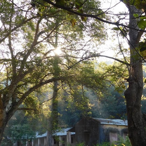 Koraput - Photo 5