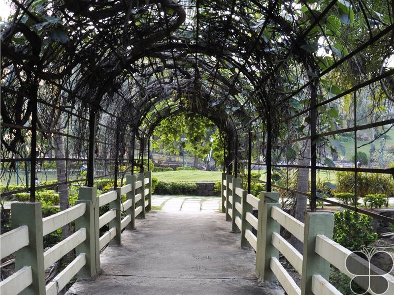 Kakatiya Musical Garden - Photo 8