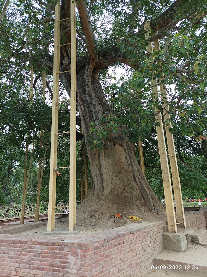 Jetavana Monastery - Photo 4