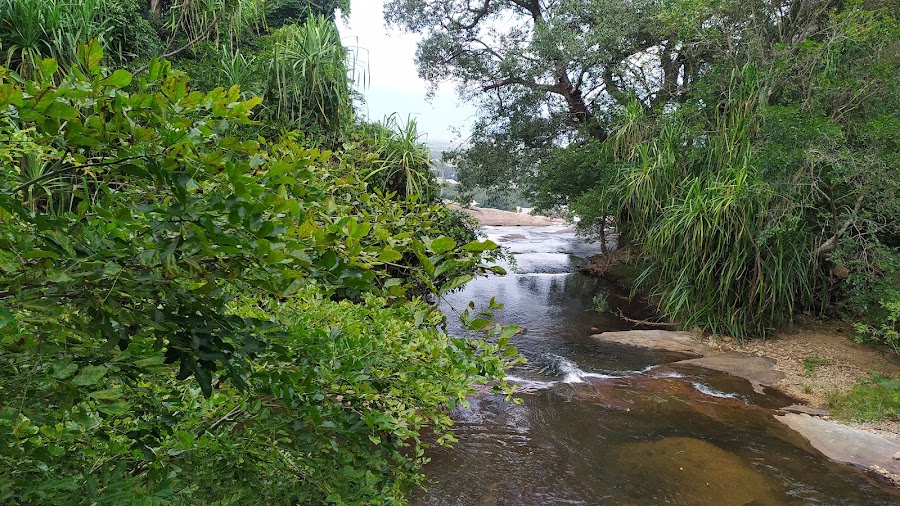 Shenbaga Devi Falls - Photo 3