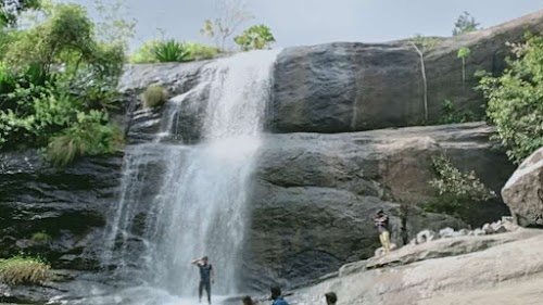 Yercaud - Photo 4