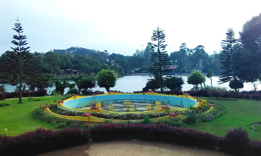 Yercaud - Photo 4