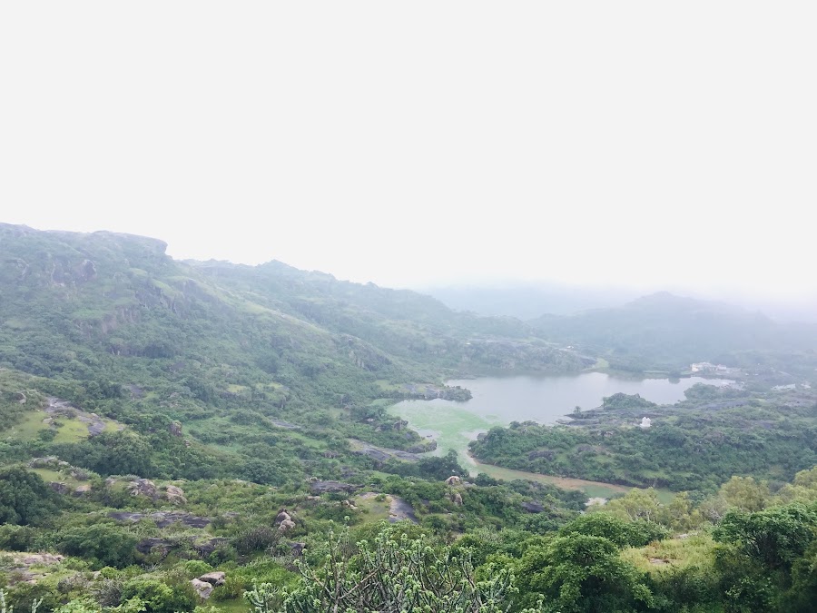 Mount Abu Wildlife Sanctuary - Photo 2