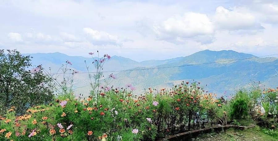 Parbati River - Photo 2