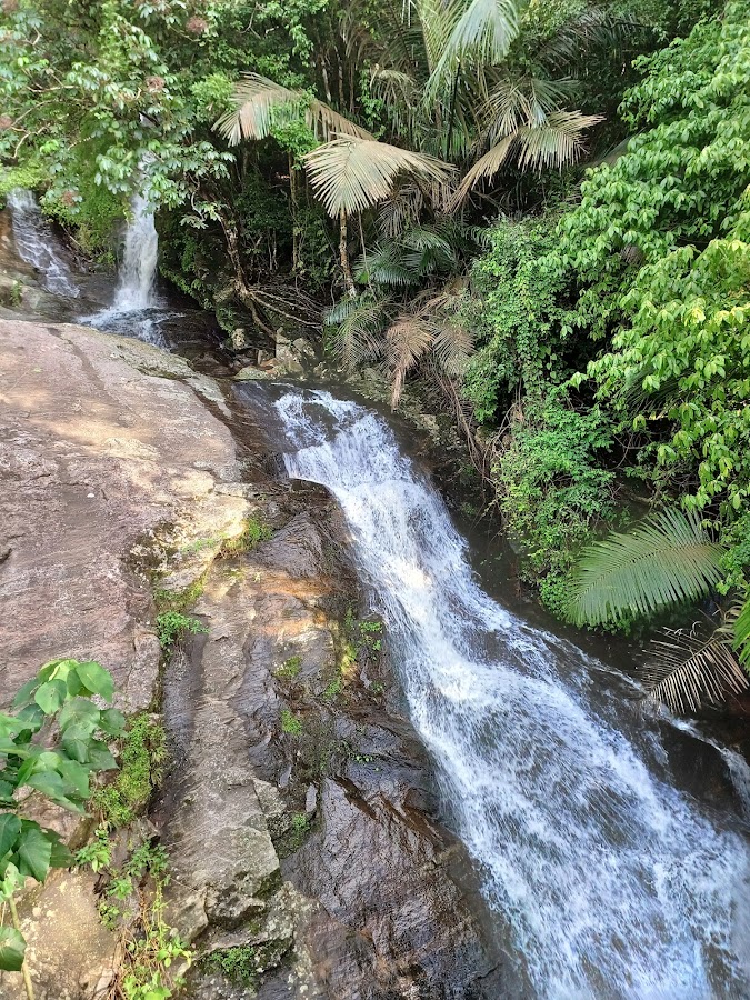 Meenvallam Waterfall - Photo 2