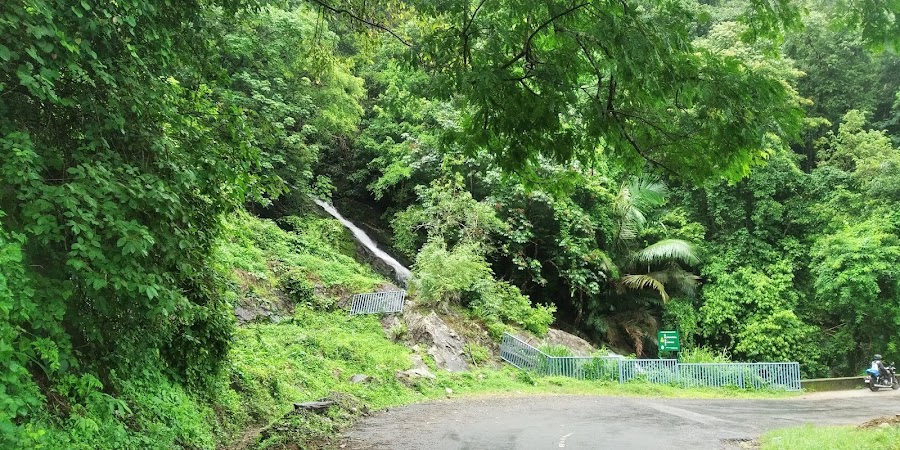 Meenvallam Waterfall - Photo 3