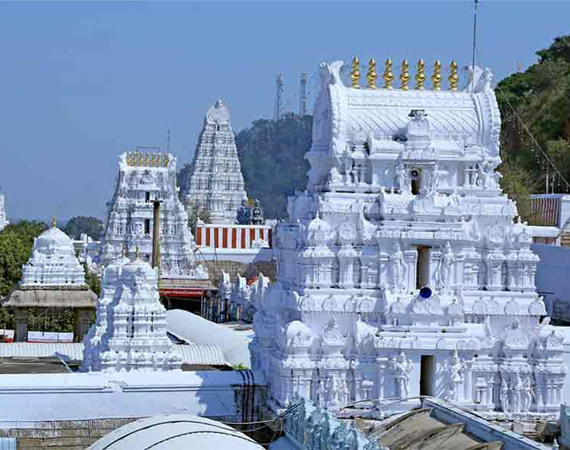 Srikalahasti Temple - Photo 4