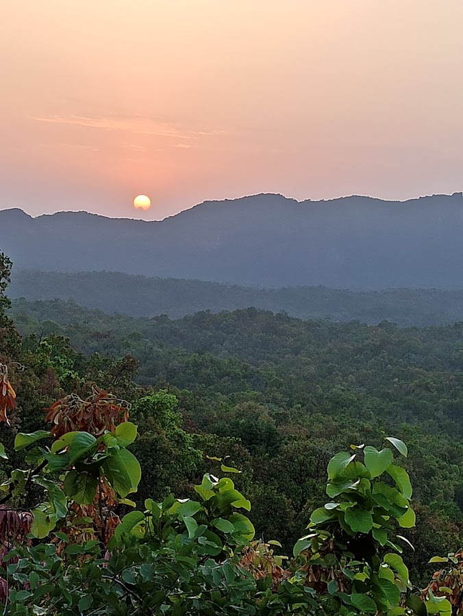 Satpura National Park - Photo 2