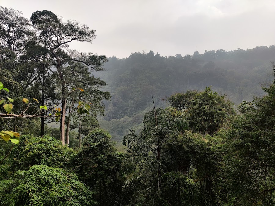 Cheeyappara Waterfalls - Photo 2