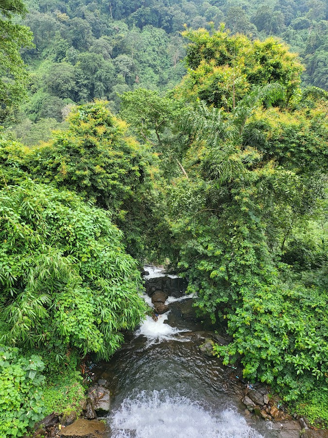Cheeyappara Waterfalls - Photo 3