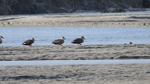 Daying Ering Wildlife Sanctuary - Photo 3