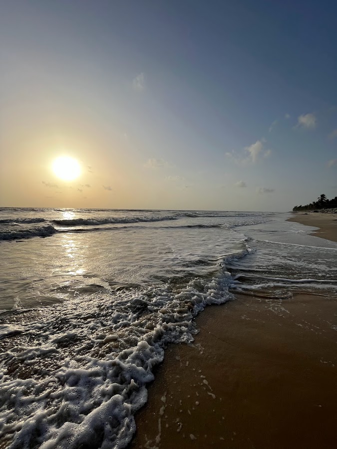 Delta Beach (Kodi Bengre Beach) - Photo 3