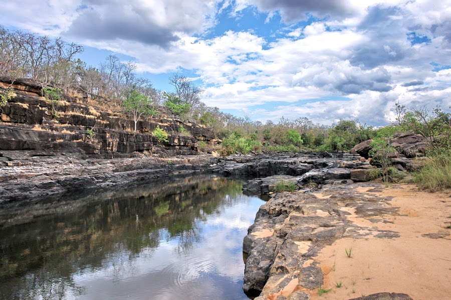Sunabeda Wildlife Sanctuary - Photo 3