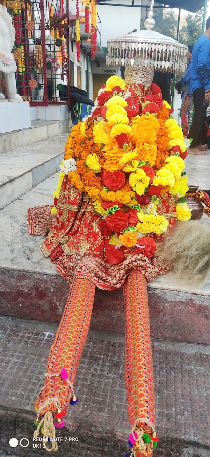 Hariyali Devi Temple - Photo 2