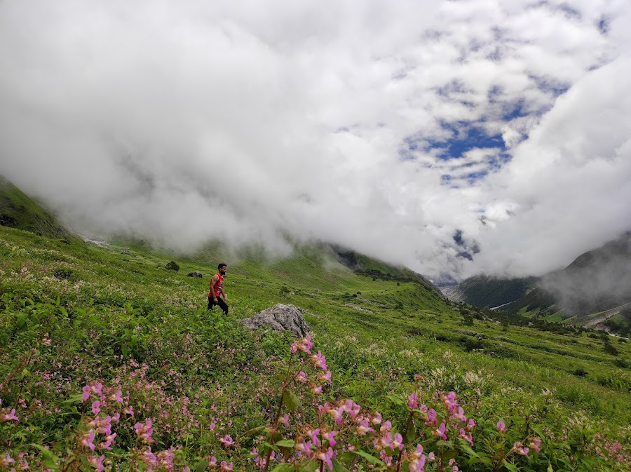 Valley of Flowers National Park - Photo 2