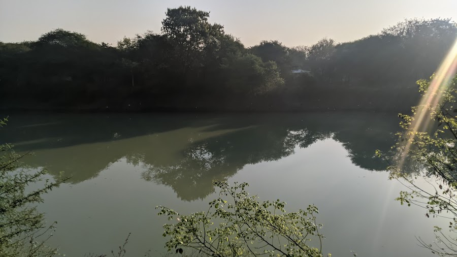 Rajiv Smriti Van - Photo 3