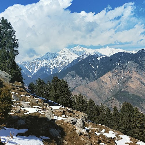Winch Camp - Photo 4