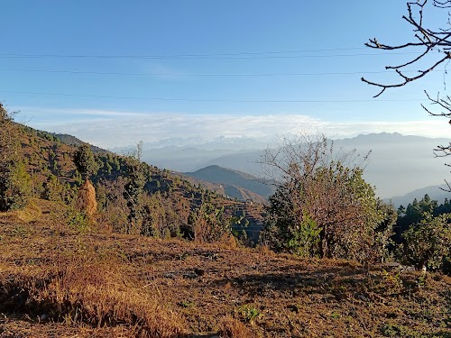 Kanatal - Photo 6