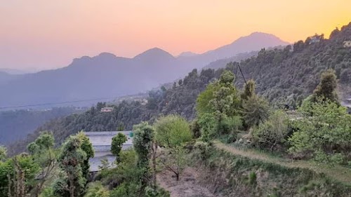 Kanatal - Photo 7