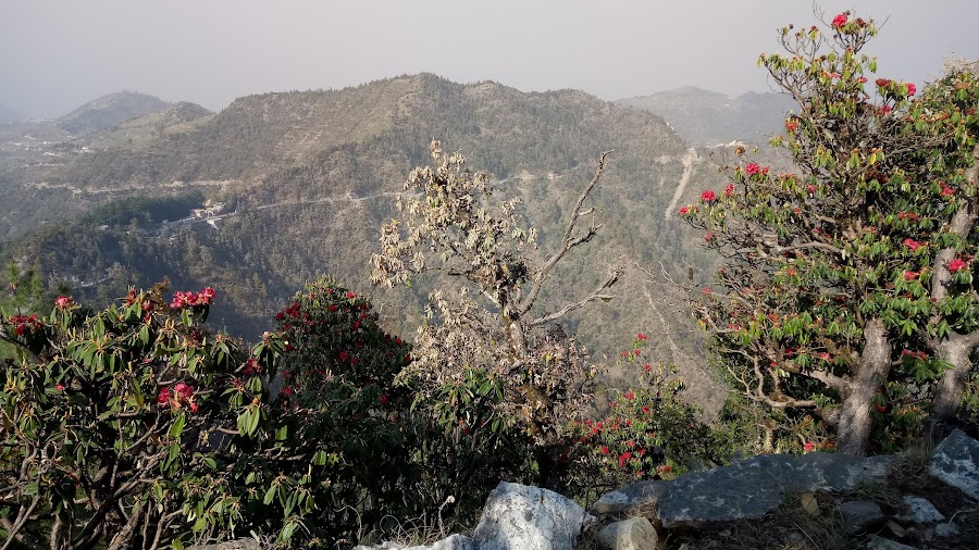 Dhanaulti - Photo 2