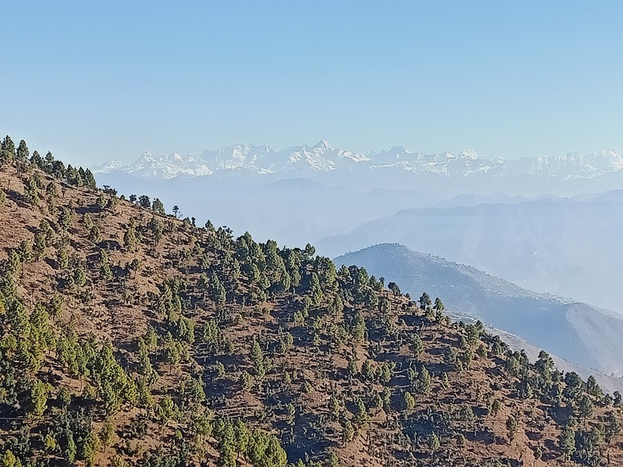Dhanaulti - Photo 8