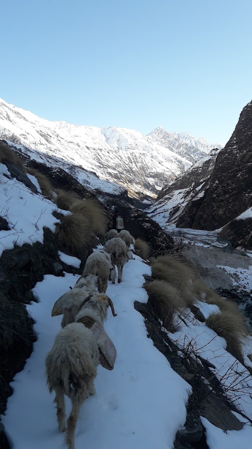 Ralam Glacier Trek