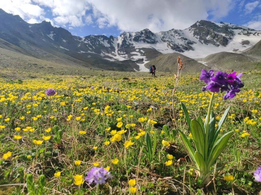 Ralam Glacier Trek - Photo 3