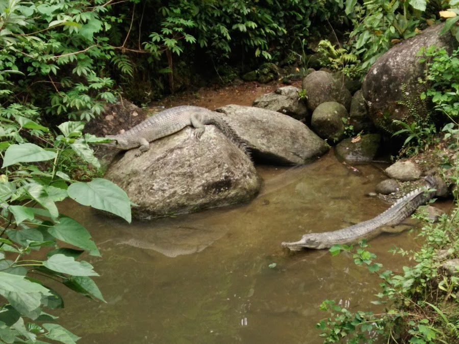 Zoological Park - Photo 2
