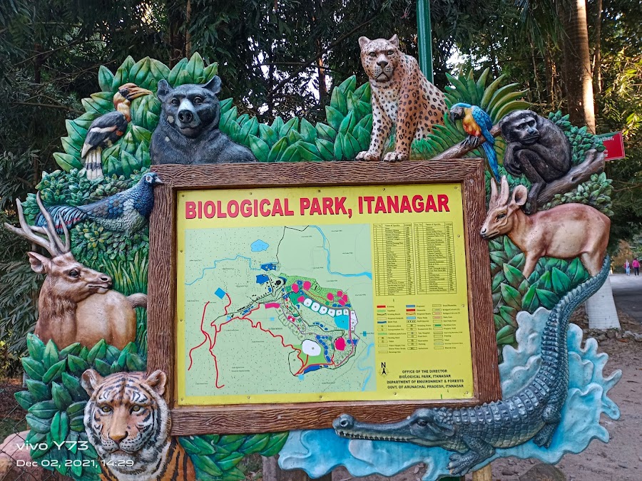 Zoological Park - Photo 4