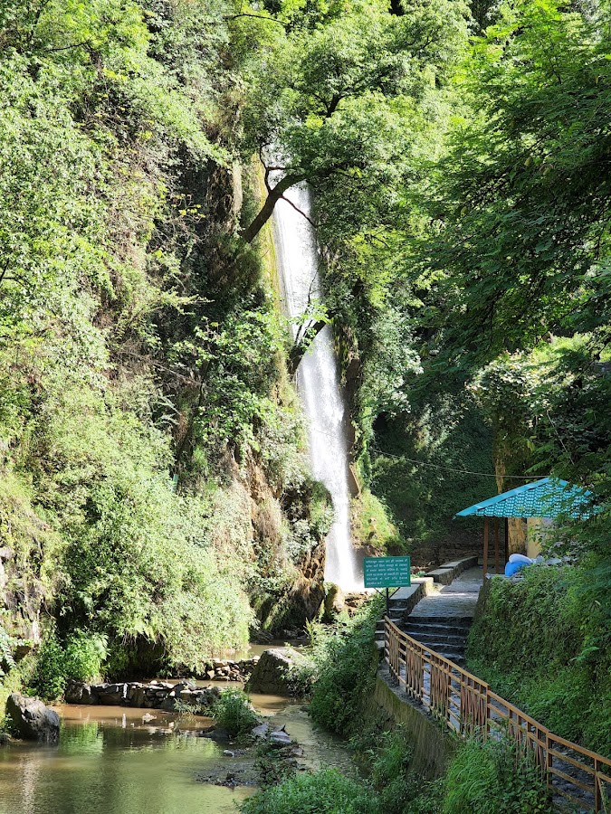 Tiger Fall - Photo 6